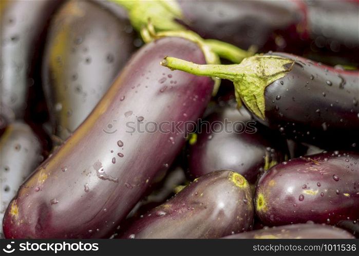 A harvest of fresh black eggplant with stems closeup, healthy food
