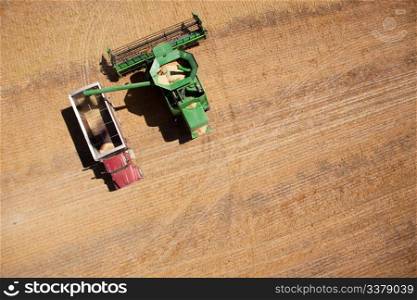 A harvester or combine filling a grain truck with lentils