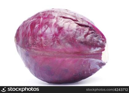 A head of purple cabbage
