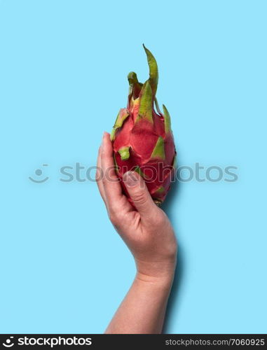 A healthy tropical fruit pitahaya holds the girl&rsquo;s hands on a blue background with space for text. Flat lay. Red exotic fruit pitahaya holding female hands on a blue background with space for text. Flat lay