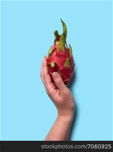 A healthy tropical fruit pitahaya holds the girl&rsquo;s hands on a blue background with space for text. Flat lay. Red exotic fruit pitahaya holding female hands on a blue background with space for text. Flat lay