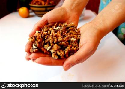 a heap of ripe seeds of walnuts in hands