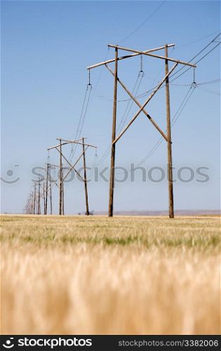 A high capacity prairie power line stretches off into the distance.
