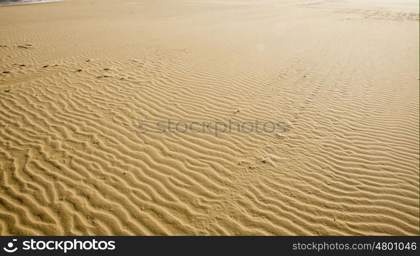 A high view of textured sea sand.