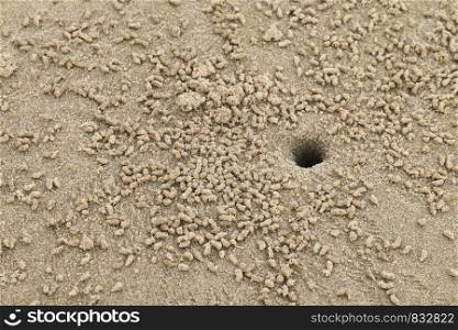 a hole of hermit crab in the sand sea