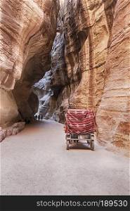 A horse-drawn cart is heading down the narrow canyon or siq that leads to the ancient city of Petra in Jordan.