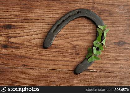 A horse shoe displayed with clovers for St. Patrick's day