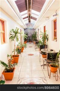 A hotel corridor with pots of natural plants. Corridors of a tropical hotel