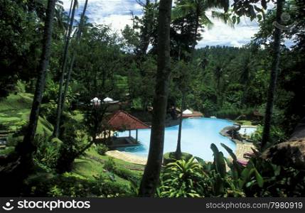 a hotel garden near Ubud of the island Bali in indonesia in southeastasia. ASIA INDONESIA BALI TROPICAL HOTEL POOL