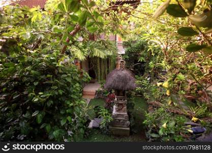 a house garden Temple in ubud on the island Bali in indonesia in southeastasia. ASIA INDONESIA BALI TRADITION GARDEN