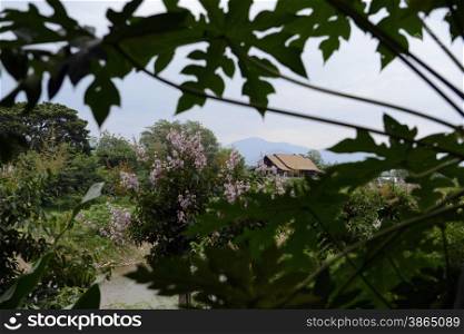 a house in the landscape in the village of Pai in the north provinz of Mae Hong Son in the north of Thailand in Southeastasia.. ASIA THAILAND MAE HONG SON PAI