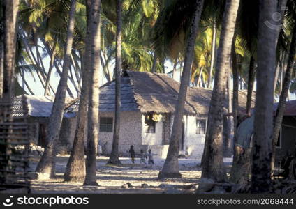 a House in the Village of Bwejuu at the Eastcoast on the Island of Zanzibar in Tanzania. Tanzania, Zanzibar, Bwejuu, October, 2004