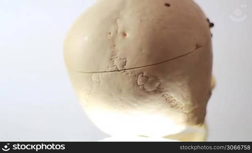 a human skull for medical purpose is turning from to backside with the face to the camera, ein Totenschadel aus der medizinischen Lehre dreht sich vom Hinterkopf zum Gesicht zur Kamera, Ausleuchtung von hell nach dunkel