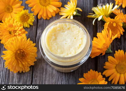 A jar of homemade ointment made from shea butter and fresh calendula flowers