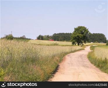 A journey through the Kashubian village. Kashubian region is in north part of Poland. Agriculture and nature concept.. Country road in Kashubian village.