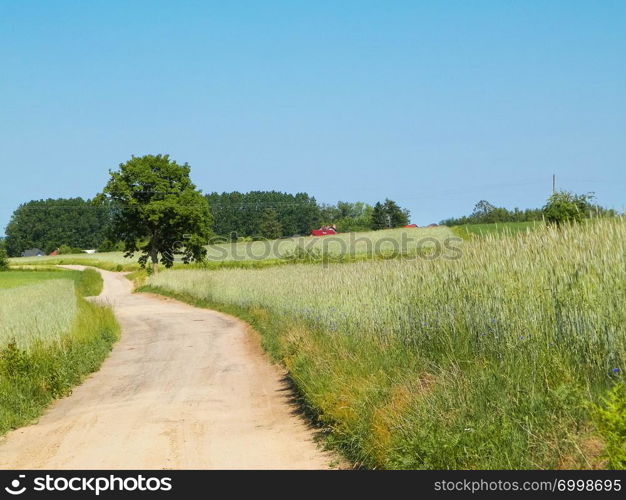 A journey through the Kashubian village. Kashubian region is in north part of Poland. Agriculture and nature concept.. Country road in Kashubian village.