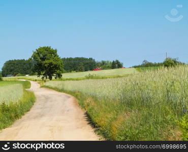 A journey through the Kashubian village. Kashubian region is in north part of Poland. Agriculture and nature concept.. Country road in Kashubian village.