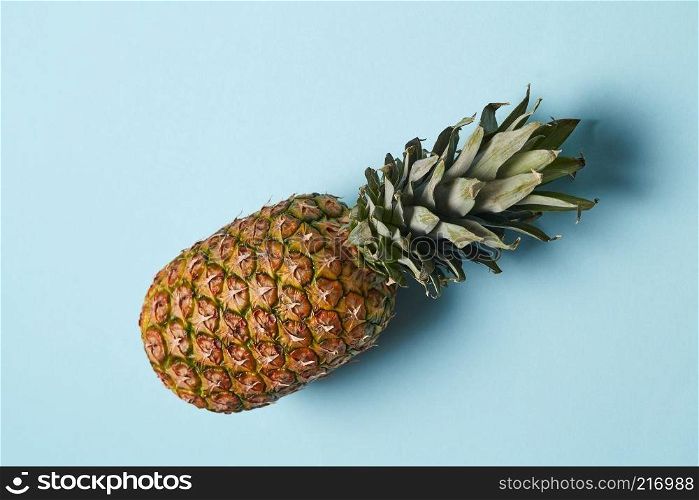 A juicy fresh green pineapple with a tail is isolated on a blue background as a screensaver for websites. Creative layout made of pineapple isolated on blue. Flat lay.