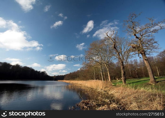 a lake in denmark nearby a forest, water and trees