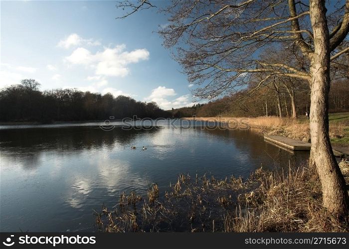 a lake in denmark nearby a forest, water and trees
