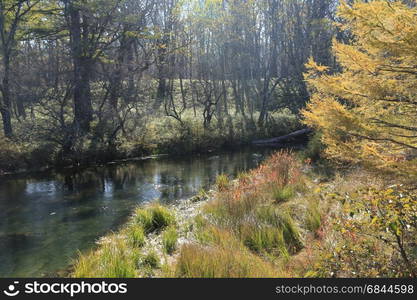 A lake in the forest during Autumn in Nikko, Japan