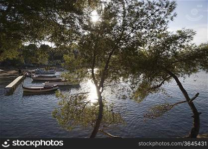 A lake surrounded with trees and a few boats by the jetty with two trees in the foreground