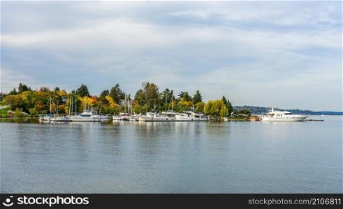 A Lake Wasington marina and colorful fall trees in Seattle, Washington.
