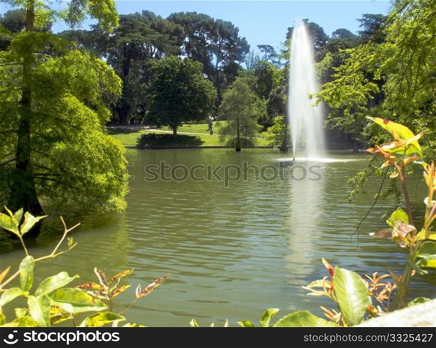 A lake with fountain in a park