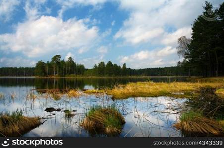 A lake with grass and blue sky