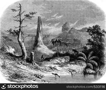 A Landscape in Sao Tome, vintage engraved illustration. Magasin Pittoresque 1853.