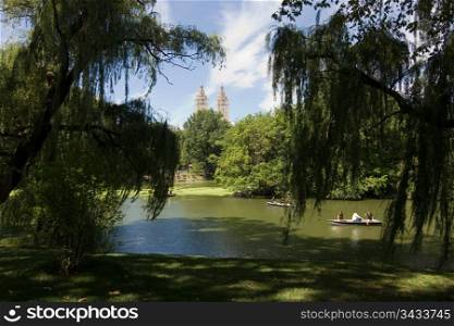 A landscape of Central Park in New York City
