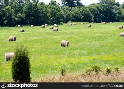 A landscape of farmland, meadow field of grass surrounded by trees and covered with bales of hay