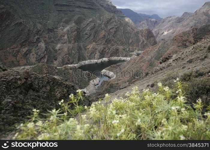 a Landscape of the Mountain Region of Tamadaba in the centre of the Canary Island of Spain in the Atlantic ocean.. EUROPE CANARY ISLAND GRAN CANARY