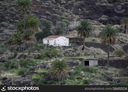 a Landscape of the Mountain Region of Tamadaba in the centre of the Canary Island of Spain in the Atlantic ocean.. EUROPE CANARY ISLAND GRAN CANARY