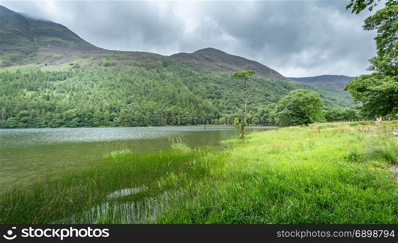 A landscape view of Buttermere, one of the lakes in the Lake District, Cumbria, United Kingdom.