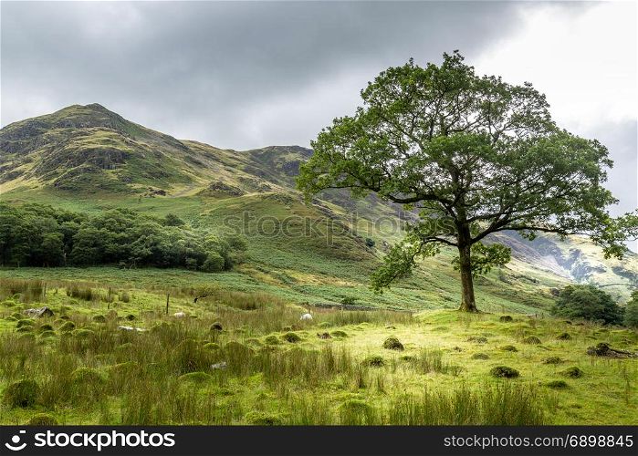 A landscape view of the area around Crummock Water, one of the lakes in the Lake District, Cumbria, United Kingdom.