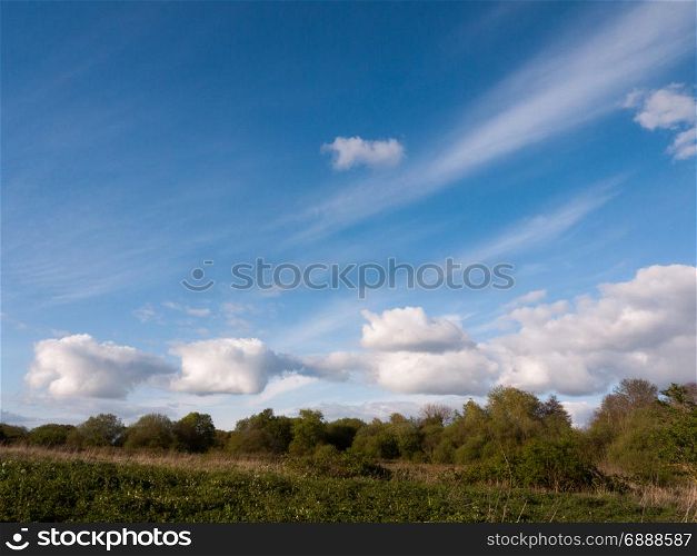 a landscape white clouds and streaks in a blue sky during the day at sunset with foliage trees plants and forest land underneath no people in spring