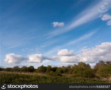 a landscape white clouds and streaks in a blue sky during the day at sunset with foliage trees plants and forest land underneath no people in spring