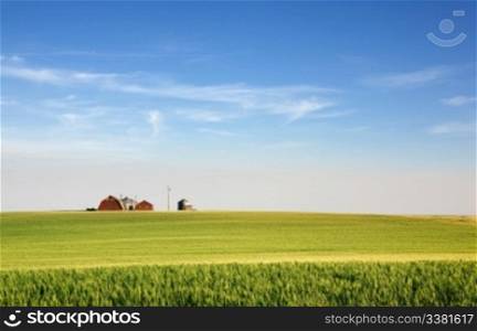 A landscape with wheat and a farm on the horizon