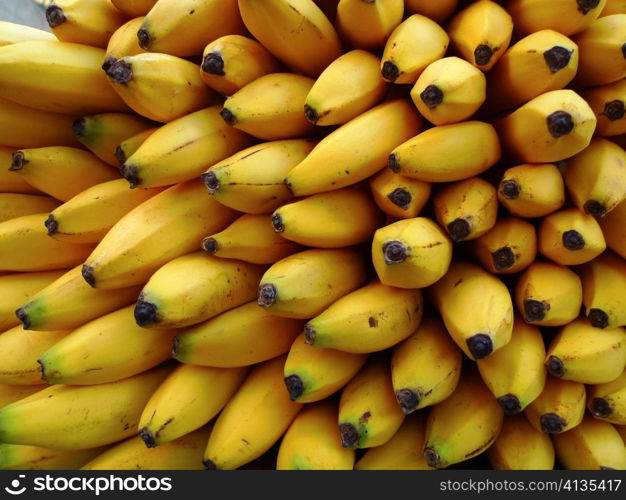 A large bunch of yellow bananas.