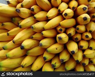 A large bunch of yellow bananas.