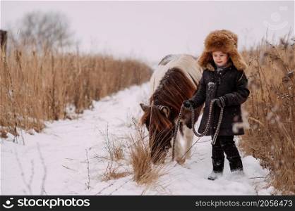 A large portrait of a girl in a fur hat and a red-and-white pony.. Girls and ponies among the winter reed 3106s