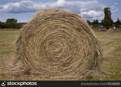 A large roll of hay in a field on a farm. This is a common scene in rural, agricultural areas of the country.