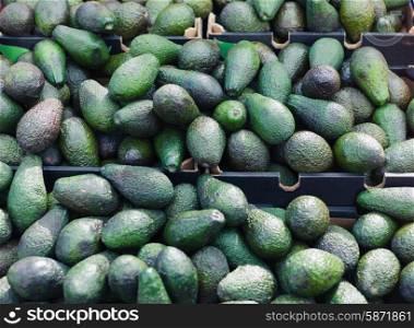 A large selection of avocados in boxes at a vegetale market