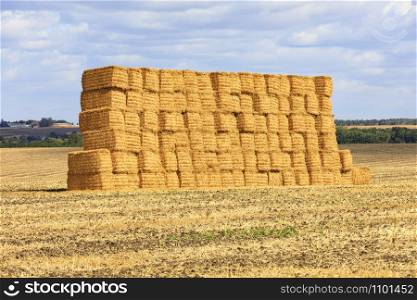 A large stack of straw is neatly folded in the field after harvesting the wheat and shines gold in sunlight.. A large stack of straw piled in a field after harvesting.