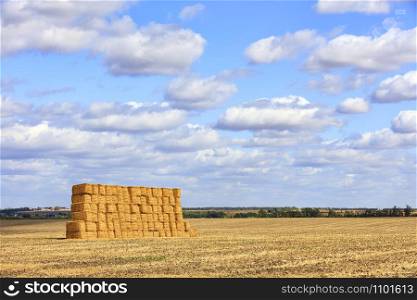 A large straw crop is neatly stacked in the middle of the field after harvesting wheat and glistens in the sun against a blue cloudy sky.. A large stack of straw against the background of a wide field and blue cloudy sky after harvest.
