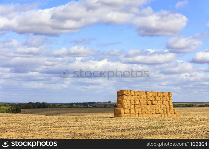 A large straw crop is neatly stacked in the middle of the field after harvesting wheat and glistens in the sun against a blue cloudy sky.. A large stack of straw against the background of a wide field and blue cloudy sky after harvest.