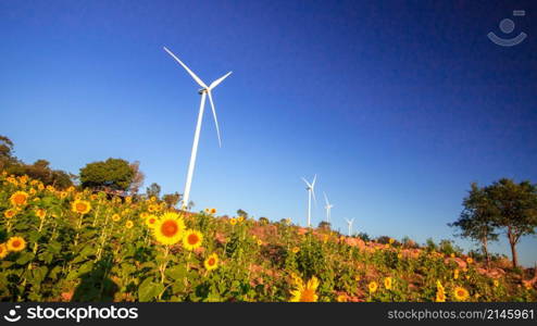 A large white windmill stands in a blooming sunflower field.