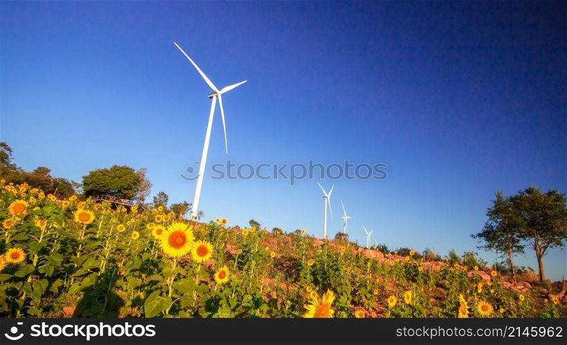 A large white windmill stands in a blooming sunflower field.