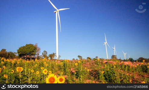 A large white windmill stands in a blooming sunflower field.